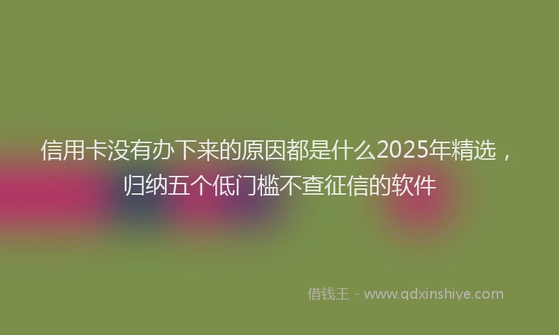 信用卡没有办下来的原因都是什么2025年精选，归纳五个低门槛不查征信的软件