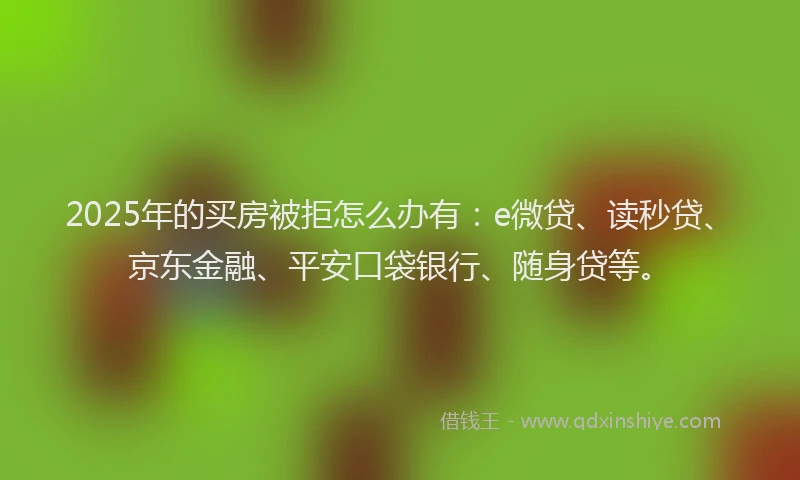2025年的买房被拒怎么办有：e微贷、读秒贷、京东金融、平安口袋银行、随身贷等。