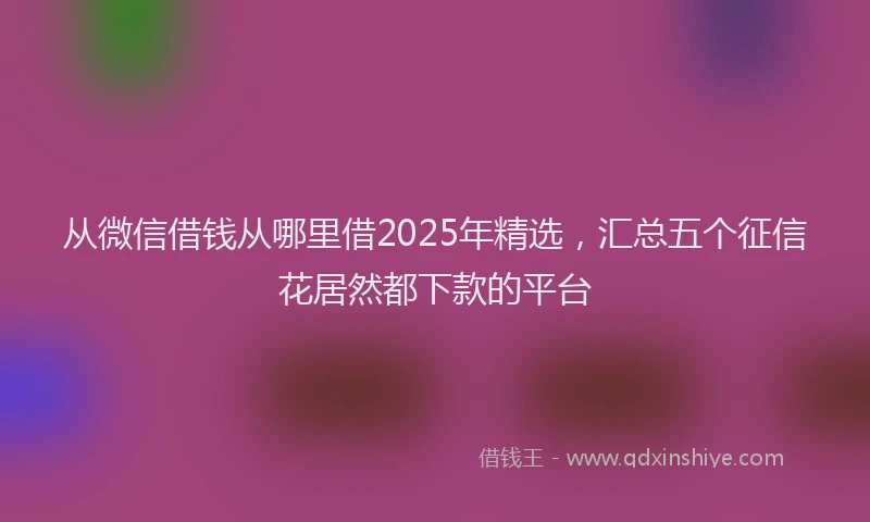 从微信借钱从哪里借2025年精选，汇总五个征信花居然都下款的平台