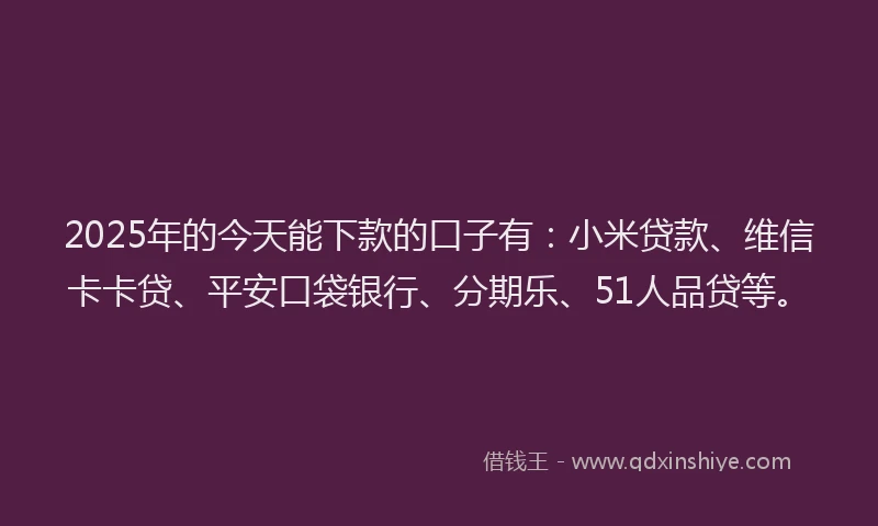 2025年的今天能下款的口子有：小米贷款、维信卡卡贷、平安口袋银行、分期乐、51人品贷等。