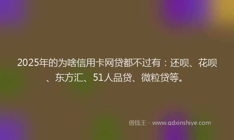 2025年的为啥信用卡网贷都不过有：还呗、花呗、东方汇、51人品贷、微粒贷等。