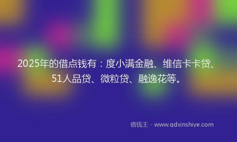 2025年的借点钱有：度小满金融、维信卡卡贷、51人品贷、微粒贷、融逸花等。