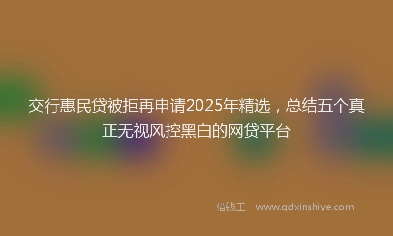 交行惠民贷被拒再申请2025年精选，总结五个真正无视风控黑白的网贷平台