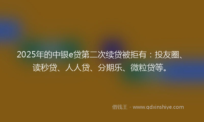 2025年的中银e贷第二次续贷被拒有：投友圈、读秒贷、人人贷、分期乐、微粒贷等。