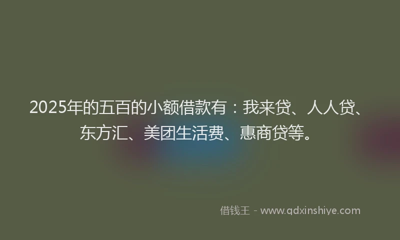 2025年的五百的小额借款有：我来贷、人人贷、东方汇、美团生活费、惠商贷等。