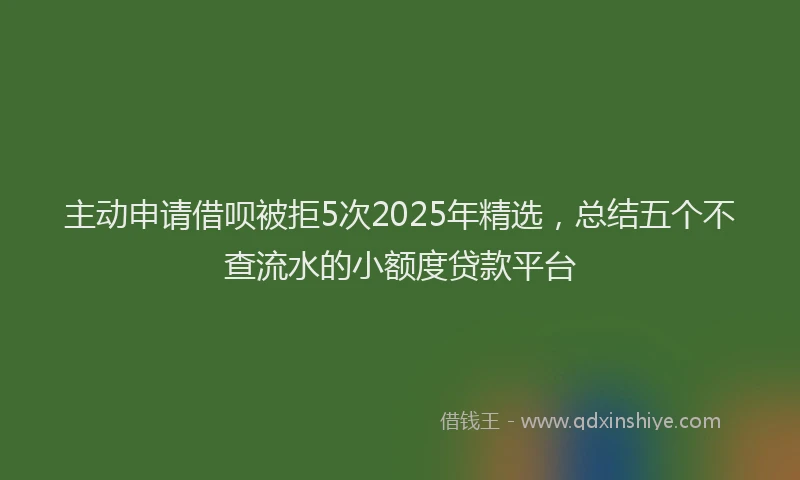 主动申请借呗被拒5次2025年精选，总结五个不查流水的小额度贷款平台