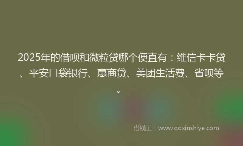 2025年的借呗和微粒贷哪个便直有：维信卡卡贷、平安口袋银行、惠商贷、美团生活费、省呗等。