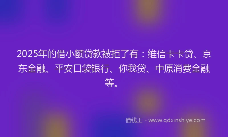 2025年的借小额贷款被拒了有：维信卡卡贷、京东金融、平安口袋银行、你我贷、中原消费金融等。