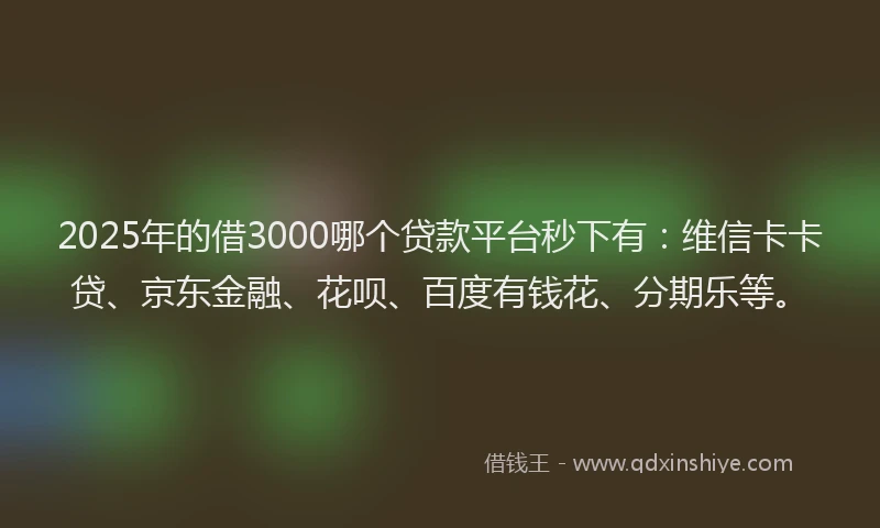 2025年的借3000哪个贷款平台秒下有：维信卡卡贷、京东金融、花呗、百度有钱花、分期乐等。