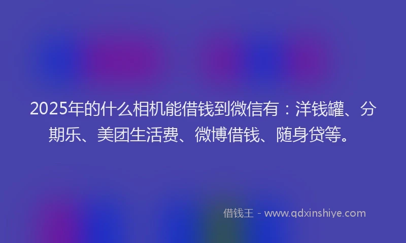2025年的什么相机能借钱到微信有：洋钱罐、分期乐、美团生活费、微博借钱、随身贷等。