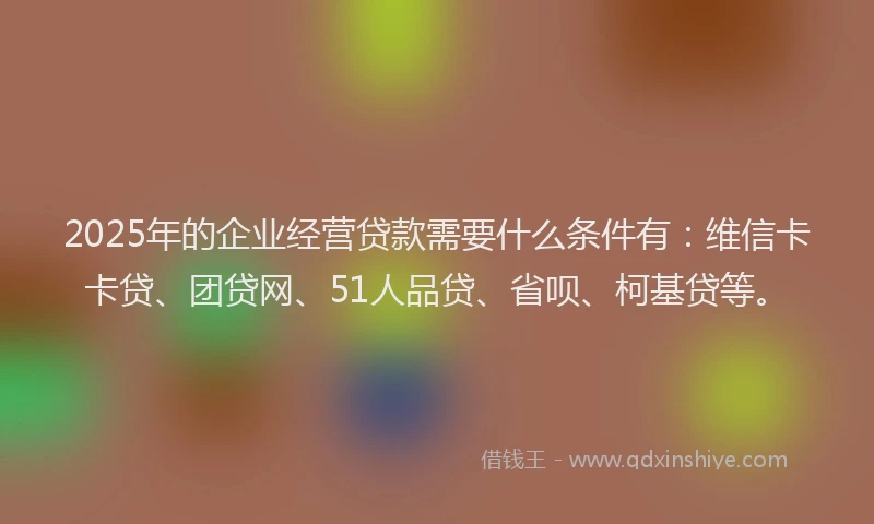 2025年的企业经营贷款需要什么条件有：维信卡卡贷、团贷网、51人品贷、省呗、柯基贷等。
