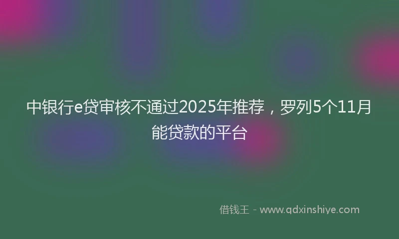 中银行e贷审核不通过2025年推荐，罗列5个11月能贷款的平台
