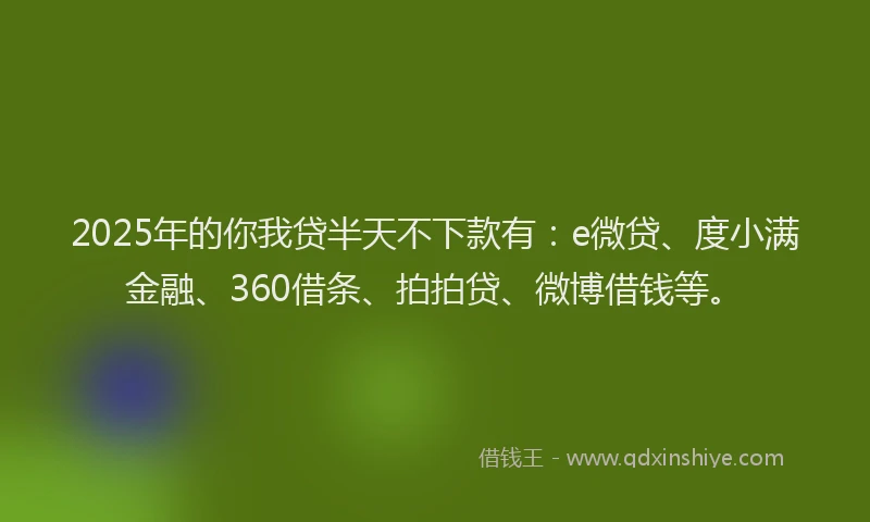 2025年的你我贷半天不下款有：e微贷、度小满金融、360借条、拍拍贷、微博借钱等。