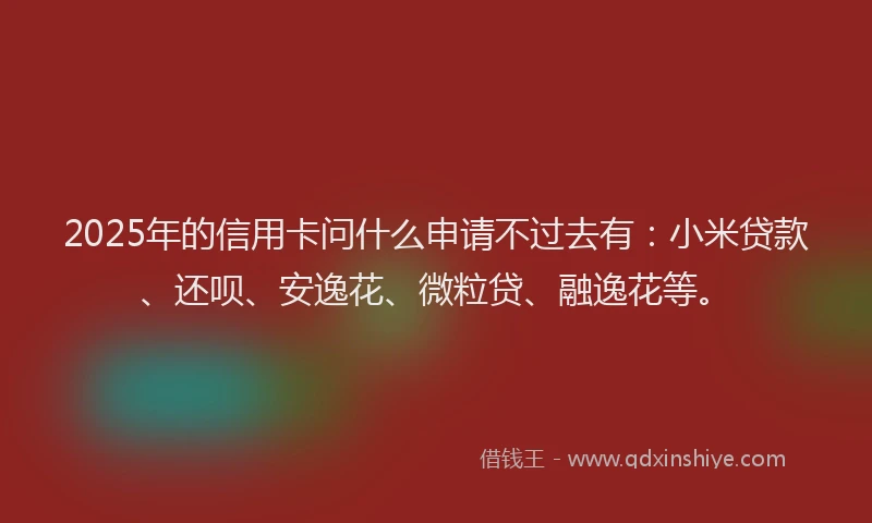 2025年的信用卡问什么申请不过去有：小米贷款、还呗、安逸花、微粒贷、融逸花等。