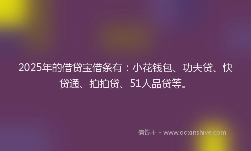 2025年的借贷宝借条有：小花钱包、功夫贷、快贷通、拍拍贷、51人品贷等。