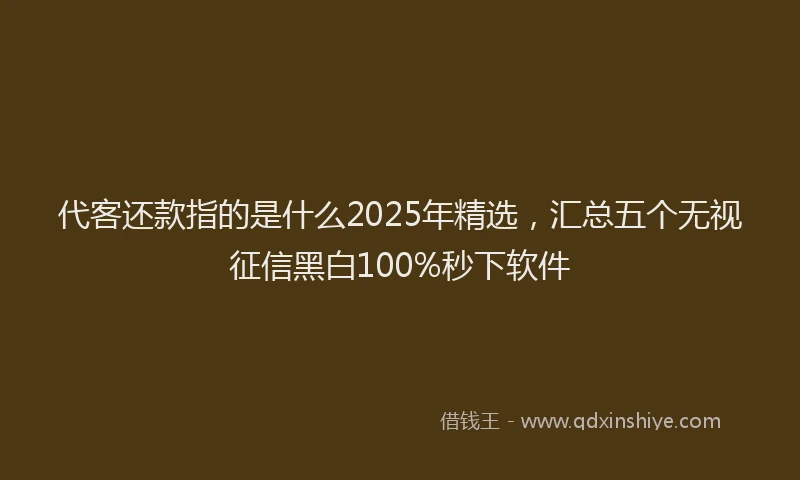 代客还款指的是什么2025年精选，汇总五个无视征信黑白100%秒下软件