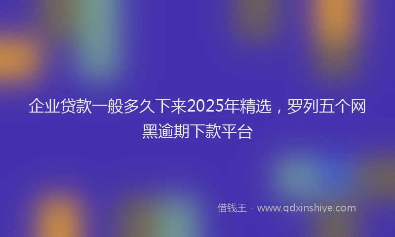 企业贷款一般多久下来2025年精选，罗列五个网黑逾期下款平台