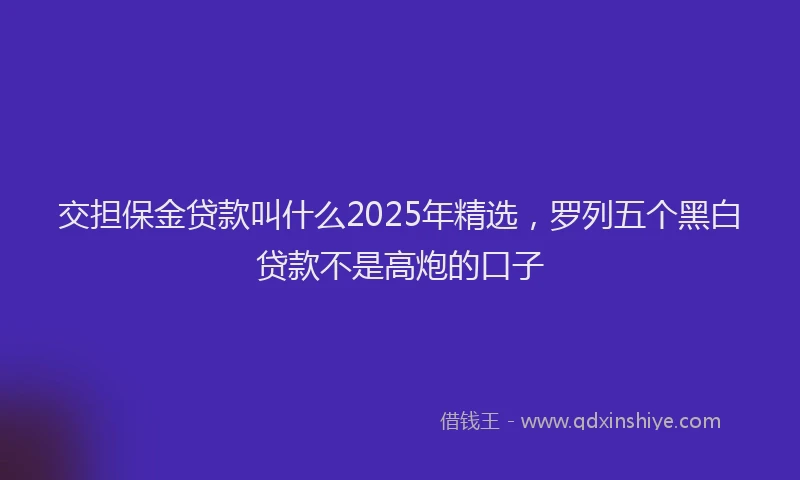 交担保金贷款叫什么2025年精选，罗列五个黑白贷款不是高炮的口子