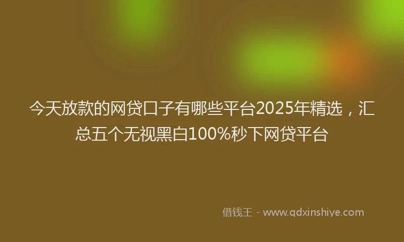 今天放款的网贷口子有哪些平台2025年精选，汇总五个无视黑白100%秒下网贷平台