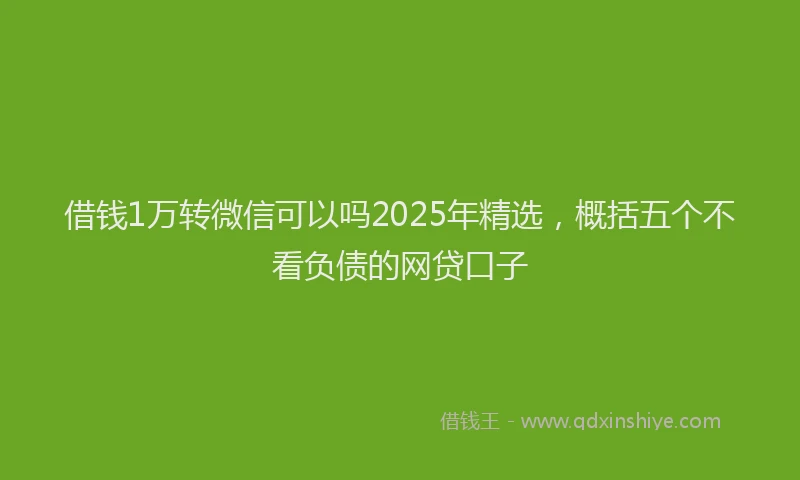 借钱1万转微信可以吗2025年精选，概括五个不看负债的网贷口子