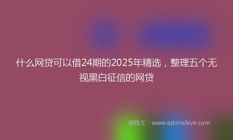 什么网贷可以借24期的2025年精选，整理五个无视黑白征信的网贷