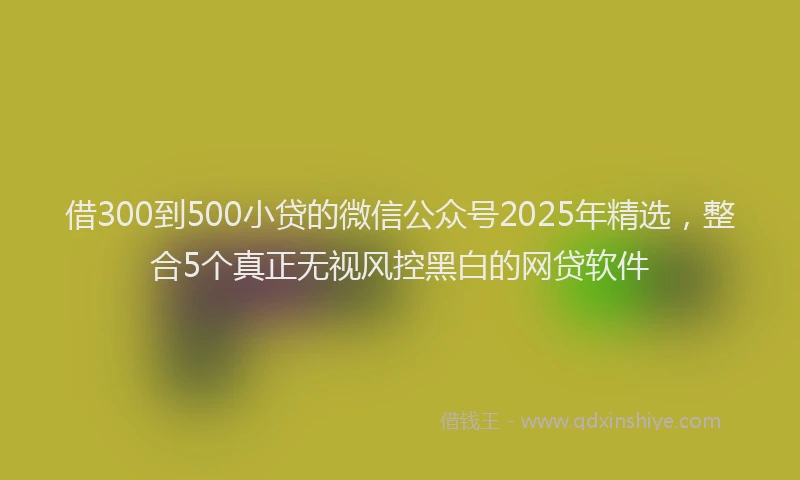 借300到500小贷的微信公众号2025年精选，整合5个真正无视风控黑白的网贷软件
