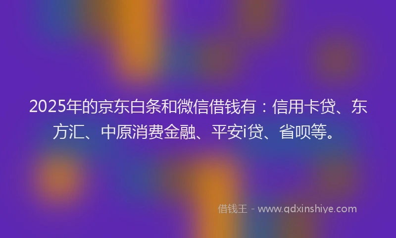 2025年的京东白条和微信借钱有：信用卡贷、东方汇、中原消费金融、平安i贷、省呗等。