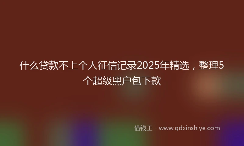 什么贷款不上个人征信记录2025年精选，整理5个超级黑户包下款