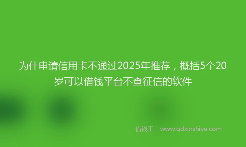 为什申请信用卡不通过2025年推荐，概括5个20岁可以借钱平台不查征信的软件