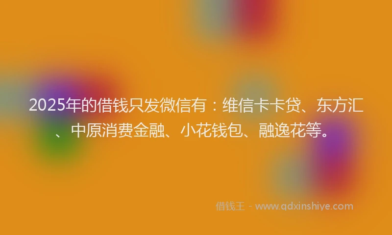 2025年的借钱只发微信有：维信卡卡贷、东方汇、中原消费金融、小花钱包、融逸花等。