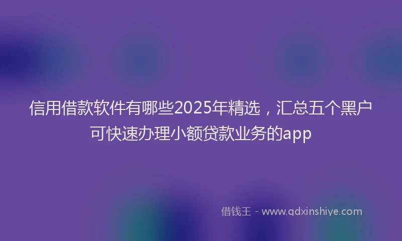 信用借款软件有哪些2025年精选，汇总五个黑户可快速办理小额贷款业务的app