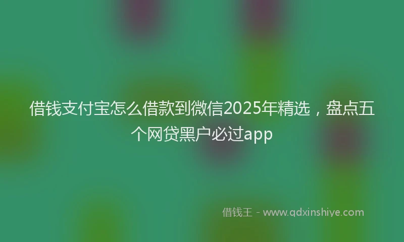 借钱支付宝怎么借款到微信2025年精选，盘点五个网贷黑户必过app