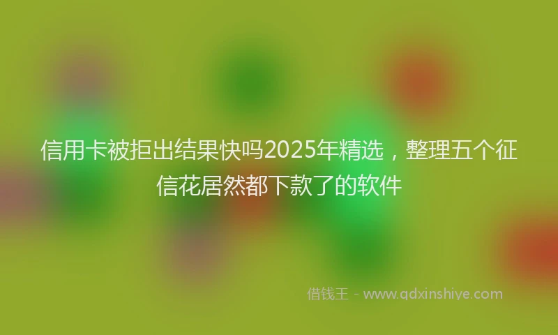 信用卡被拒出结果快吗2025年精选，整理五个征信花居然都下款了的软件