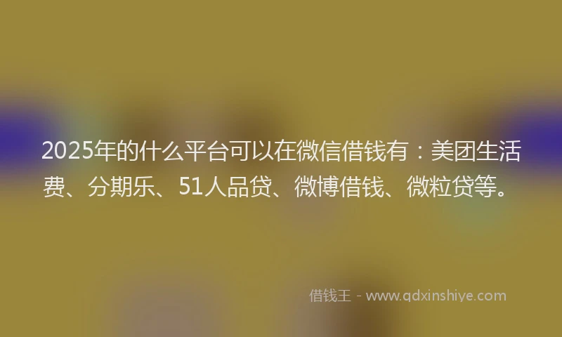 2025年的什么平台可以在微信借钱有：美团生活费、分期乐、51人品贷、微博借钱、微粒贷等。
