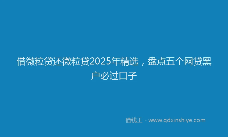 借微粒贷还微粒贷2025年精选，盘点五个网贷黑户必过口子