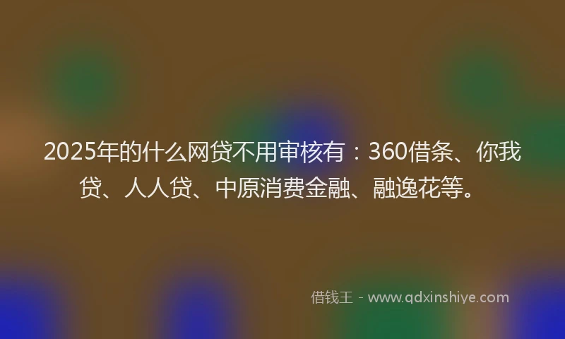 2025年的什么网贷不用审核有：360借条、你我贷、人人贷、中原消费金融、融逸花等。