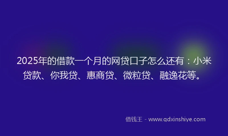 2025年的借款一个月的网贷口子怎么还有：小米贷款、你我贷、惠商贷、微粒贷、融逸花等。