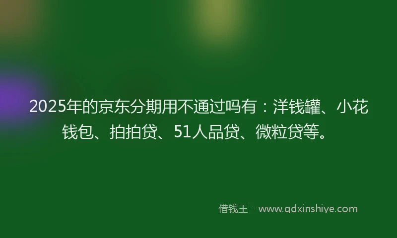 2025年的京东分期用不通过吗有：洋钱罐、小花钱包、拍拍贷、51人品贷、微粒贷等。