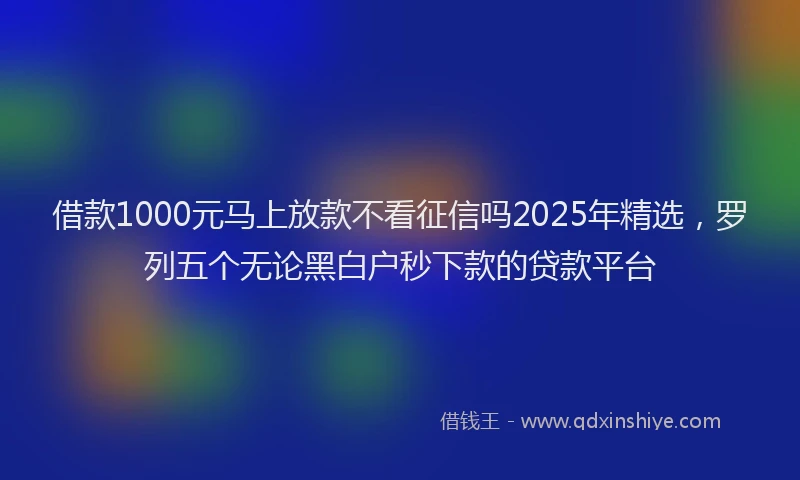 借款1000元马上放款不看征信吗2025年精选，罗列五个无论黑白户秒下款的贷款平台
