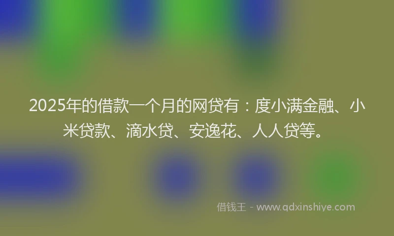 2025年的借款一个月的网贷有：度小满金融、小米贷款、滴水贷、安逸花、人人贷等。