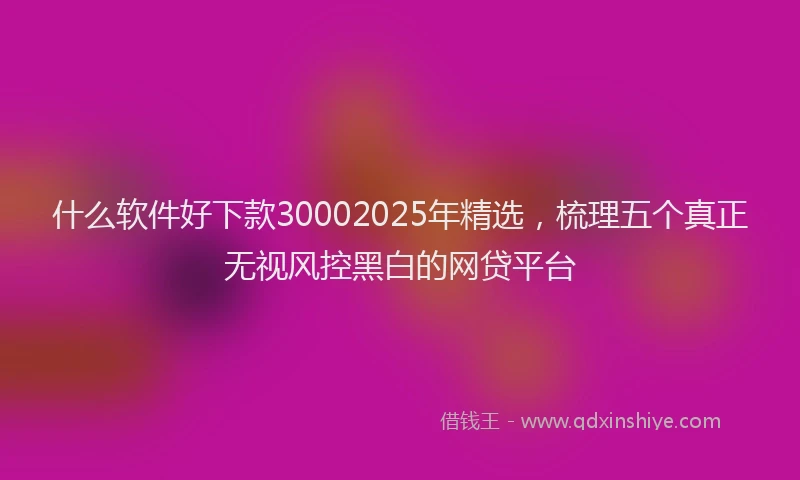 什么软件好下款30002025年精选，梳理五个真正无视风控黑白的网贷平台