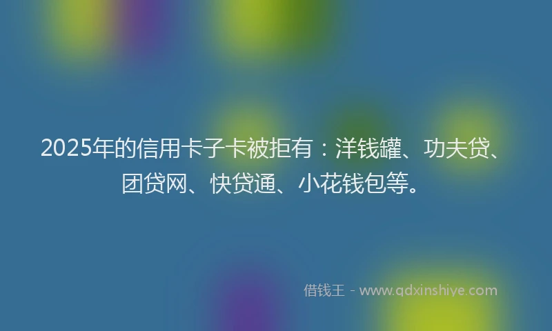 2025年的信用卡子卡被拒有：洋钱罐、功夫贷、团贷网、快贷通、小花钱包等。