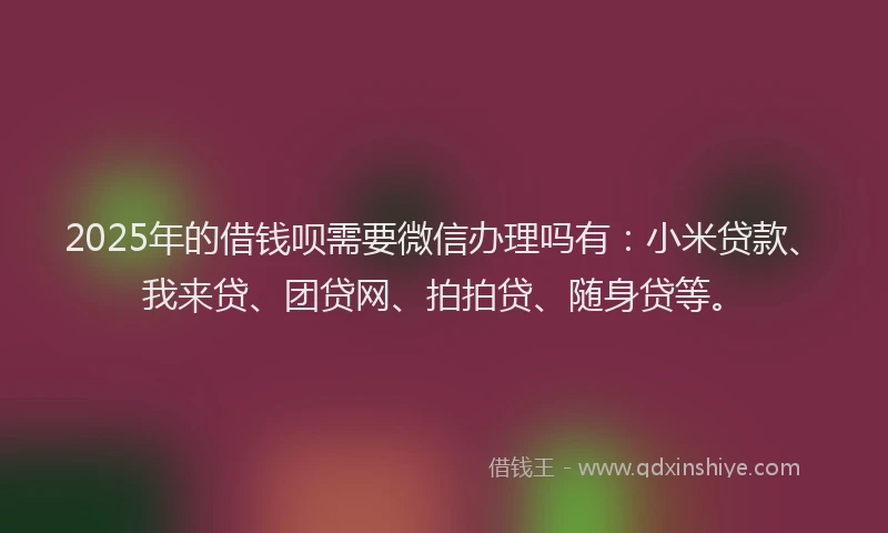 2025年的借钱呗需要微信办理吗有：小米贷款、我来贷、团贷网、拍拍贷、随身贷等。