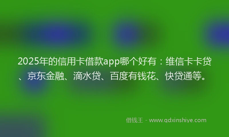 2025年的信用卡借款app哪个好有：维信卡卡贷、京东金融、滴水贷、百度有钱花、快贷通等。