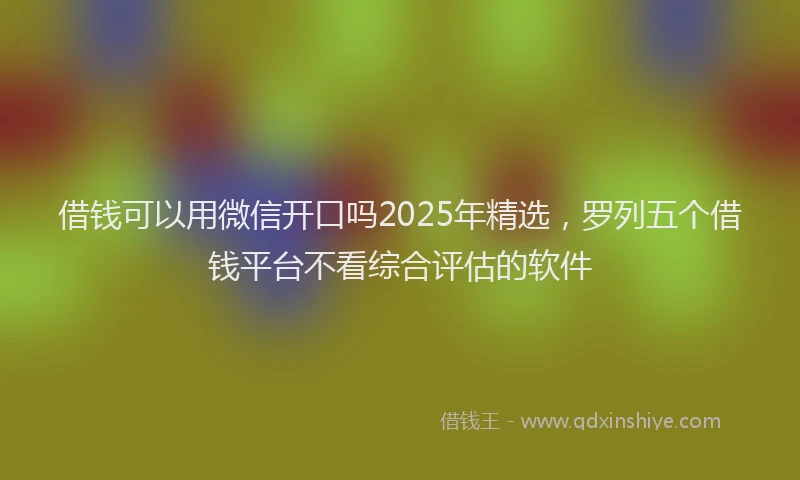 借钱可以用微信开口吗2025年精选，罗列五个借钱平台不看综合评估的软件