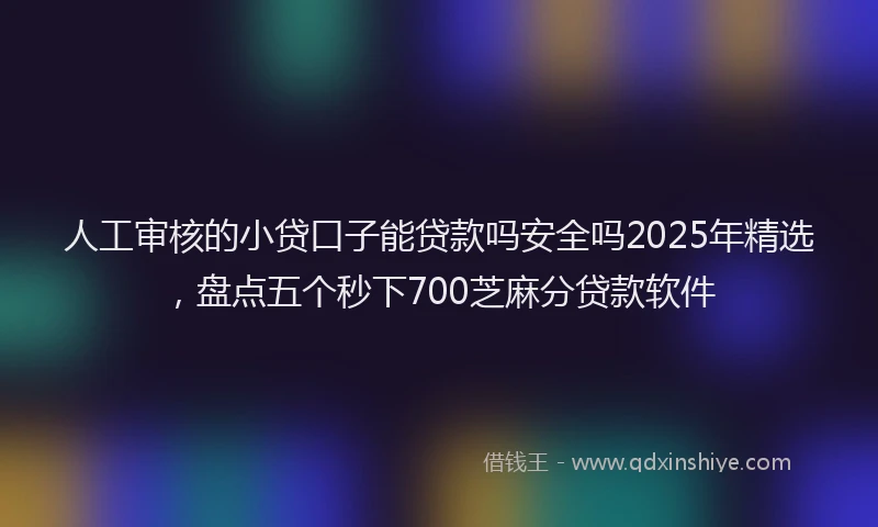 人工审核的小贷口子能贷款吗安全吗2025年精选，盘点五个秒下700芝麻分贷款软件