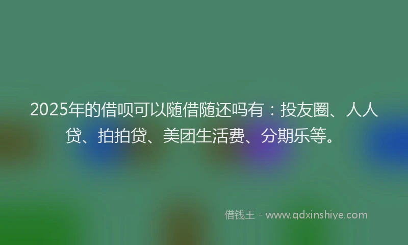 2025年的借呗可以随借随还吗有：投友圈、人人贷、拍拍贷、美团生活费、分期乐等。