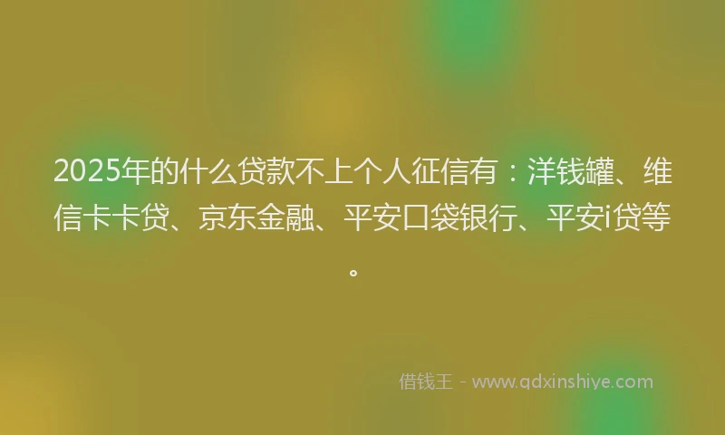 2025年的什么贷款不上个人征信有：洋钱罐、维信卡卡贷、京东金融、平安口袋银行、平安i贷等。