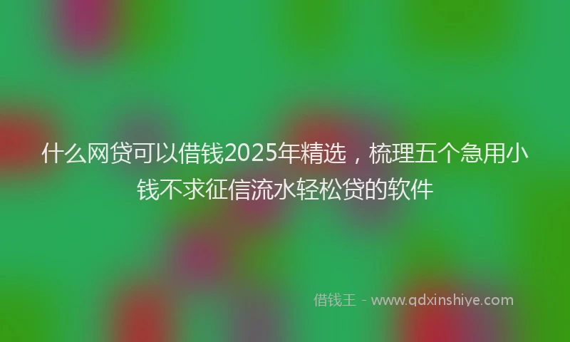 什么网贷可以借钱2025年精选，梳理五个急用小钱不求征信流水轻松贷的软件