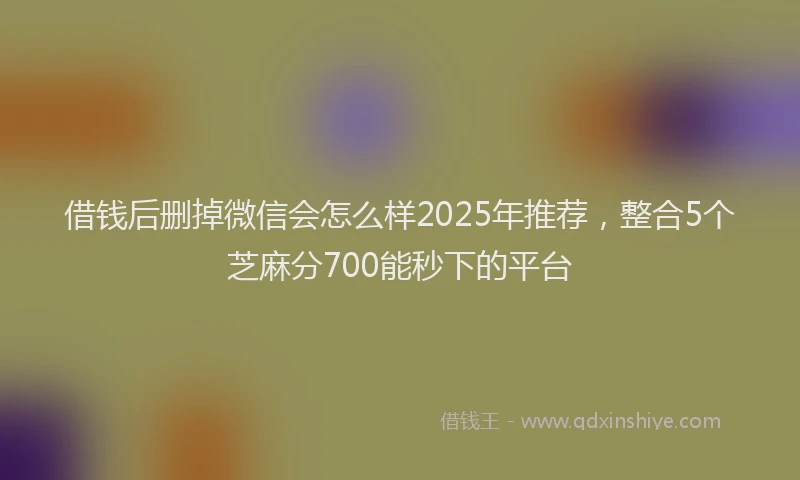 借钱后删掉微信会怎么样2025年推荐，整合5个芝麻分700能秒下的平台